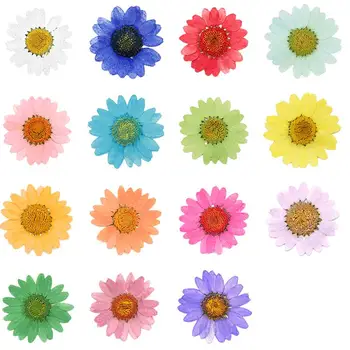 120pcs 2.5-3cm Pressed Dried Daisy Chrysanthemum Flower For Wedding Party Home Pendant Necklace Craft DIY Accessories
120pcs 2.5-3cm Pressed Dried Daisy Chrysanthemum Flower For Wedding Party Home Pendant Necklace Craft DIY Accessories
