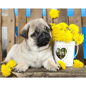 full square Diamond Embroidery,French Bulldog flowe,diy Diamond Painting,Cross Stitch kits,5D,Diamond Mosaic Y0413
full square Diamond Embroidery,French Bulldog flowe,diy Diamond Painting,Cross Stitch kits,5D,Diamond Mosaic Y0413