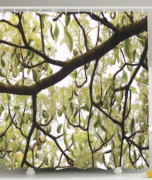 Farmhouse Dogwood Tree Seeds Bonsai Art Decor for Bathroom Home Nature Lover Bright Sky Print Polyester Fabric Shower Curtain
Farmhouse Dogwood Tree Seeds Bonsai Art Decor for Bathroom Home Nature Lover Bright Sky Print Polyester Fabric Shower Curtain
