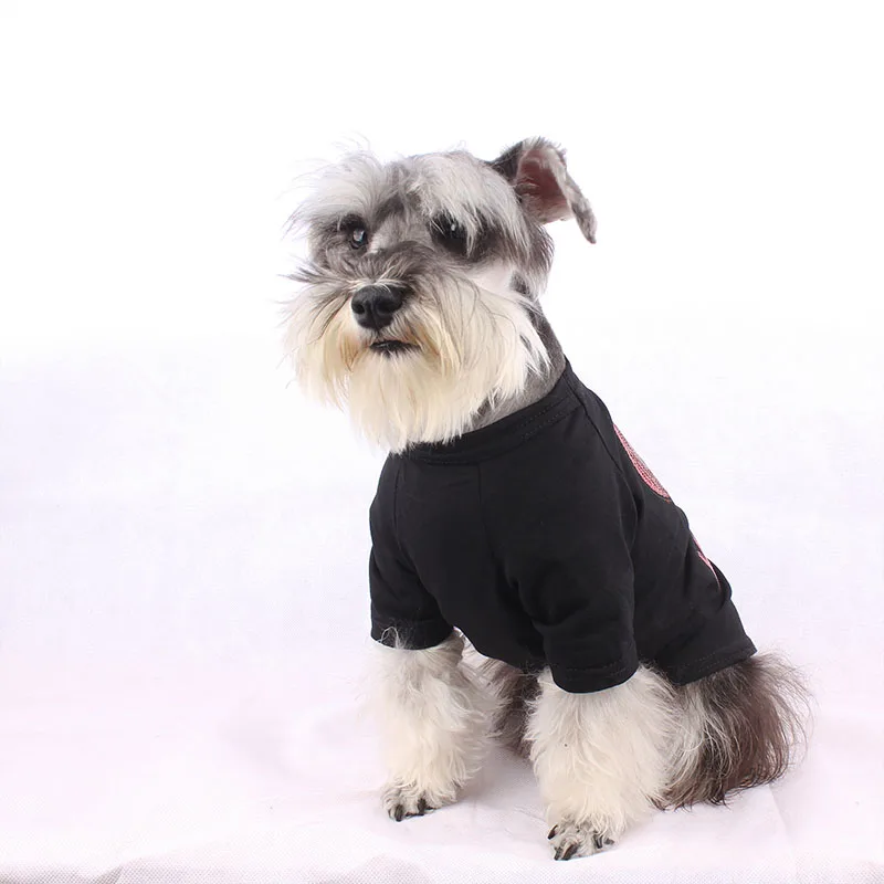 Dog Clothes for Small Dogs Summer Tshirt for French Bulldog Pet Clothes for Chihuahua Puppy Sweater Dog Clothing Pug Apparel
Dog Clothes for Small Dogs Summer Tshirt for French Bulldog Pet Clothes for Chihuahua Puppy Sweater Dog Clothing Pug Apparel