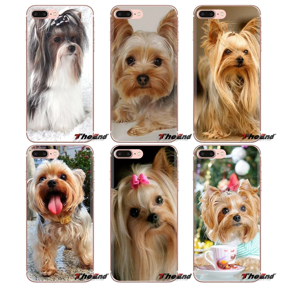 Yorkshire terrier dog puppy For Xiaomi Redmi 4A S2 Note 3 3S 4 4X 5 Plus 6 7 6A Pro Pocophone F1 Soft Transparent Cases Covers
Yorkshire terrier dog puppy For Xiaomi Redmi 4A S2 Note 3 3S 4 4X 5 Plus 6 7 6A Pro Pocophone F1 Soft Transparent Cases Covers