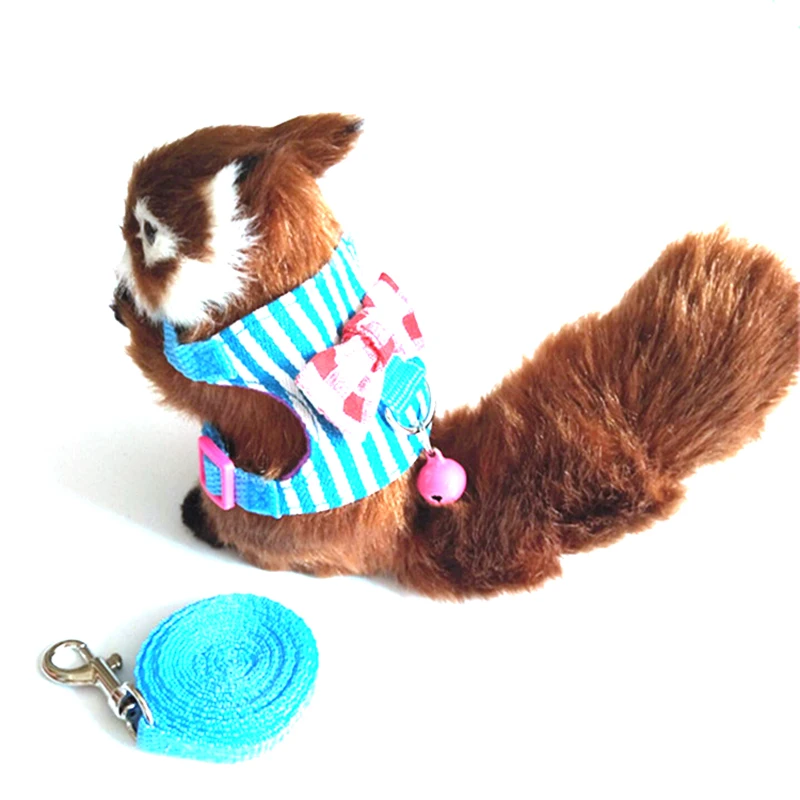 stripe Chinchilla Hamster Small Pet Squirrel Harness Cartoon Vest Clothes with Lead Leash Rope Collar for Hamster Mouse Rat
stripe Chinchilla Hamster Small Pet Squirrel Harness Cartoon Vest Clothes with Lead Leash Rope Collar for Hamster Mouse Rat