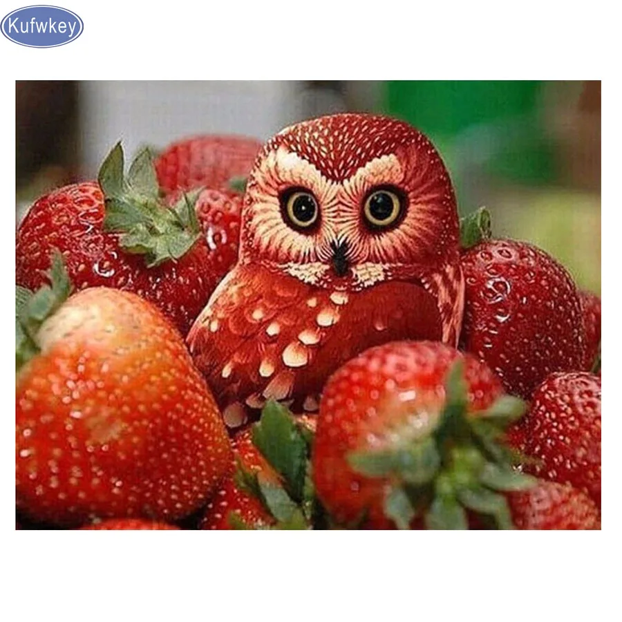 5D DIY Diamond Embroidery Fruit Strawberries,abstract owl picture Home decoration,Diamond Painting Cross Stitch,Diamond mosaic
5D DIY Diamond Embroidery Fruit Strawberries,abstract owl picture Home decoration,Diamond Painting Cross Stitch,Diamond mosaic