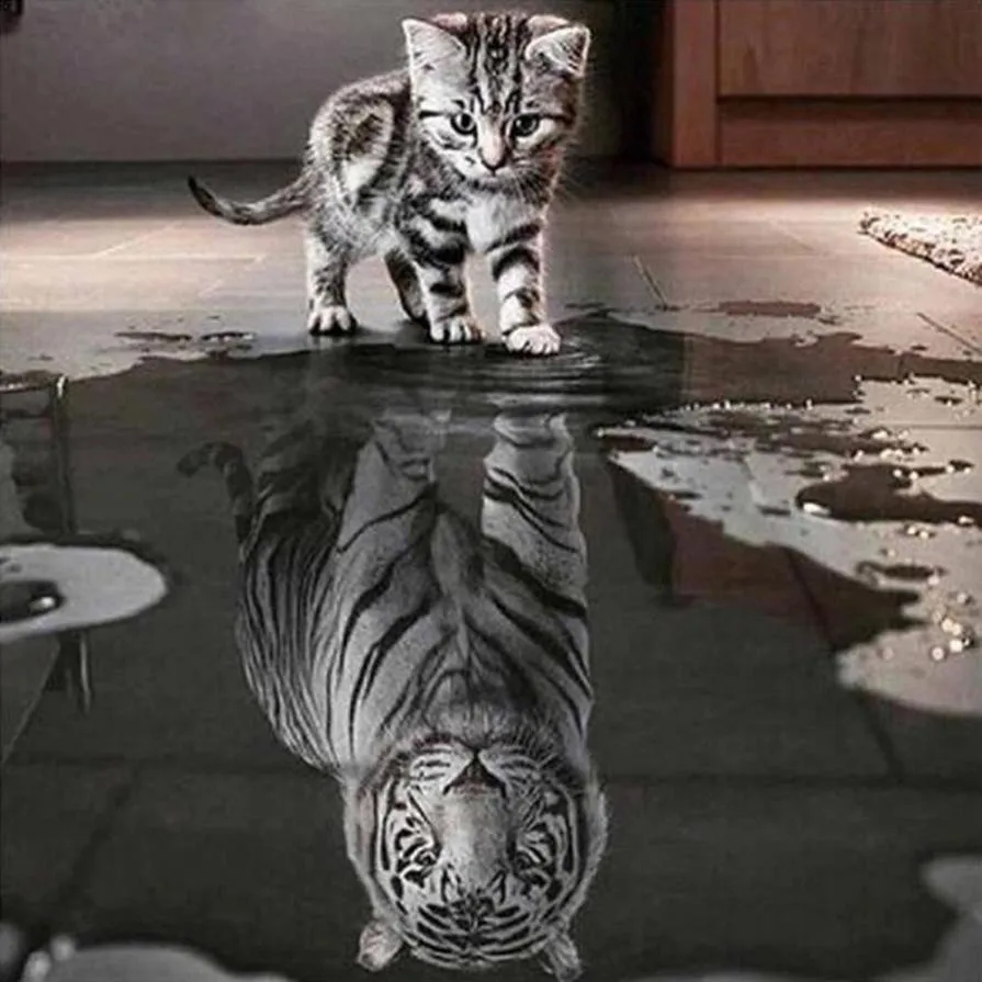 Cat and Tiger Creative Painting Cross Stitch Diamond Embroidery 5D Diy Diamond Mosaic Picture Round Rhinestones Home Decor Gift
Cat and Tiger Creative Painting Cross Stitch Diamond Embroidery 5D Diy Diamond Mosaic Picture Round Rhinestones Home Decor Gift