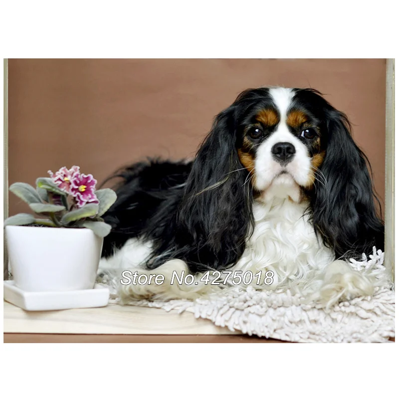 Diy Diamond Painting Cross Stitch Cavalier King Charles Spaniel Dog 5D Mosaic Set Unfinished Decor Full Diamond Embroidery YG178
Diy Diamond Painting Cross Stitch Cavalier King Charles Spaniel Dog 5D Mosaic Set Unfinished Decor Full Diamond Embroidery YG178