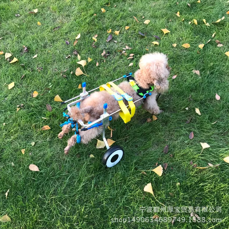 Hot Sale Pet Dog Wheelchair Convenient Dog Car Disabled Cat Wheelchair Disabled Pet Scooter Old Dogs Necessities Pet Sweet Gifts
Hot Sale Pet Dog Wheelchair Convenient Dog Car Disabled Cat Wheelchair Disabled Pet Scooter Old Dogs Necessities Pet Sweet Gifts