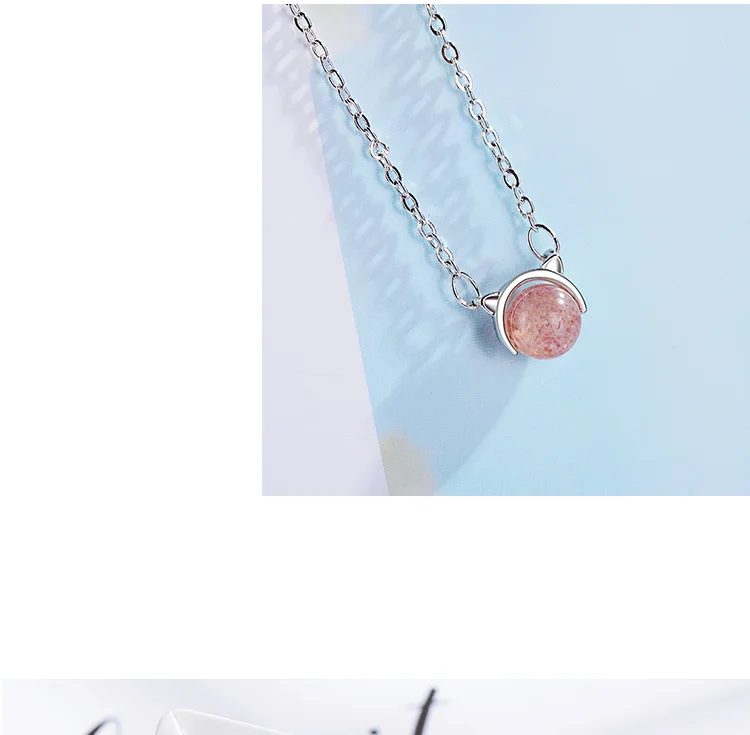 9034365572_19612025