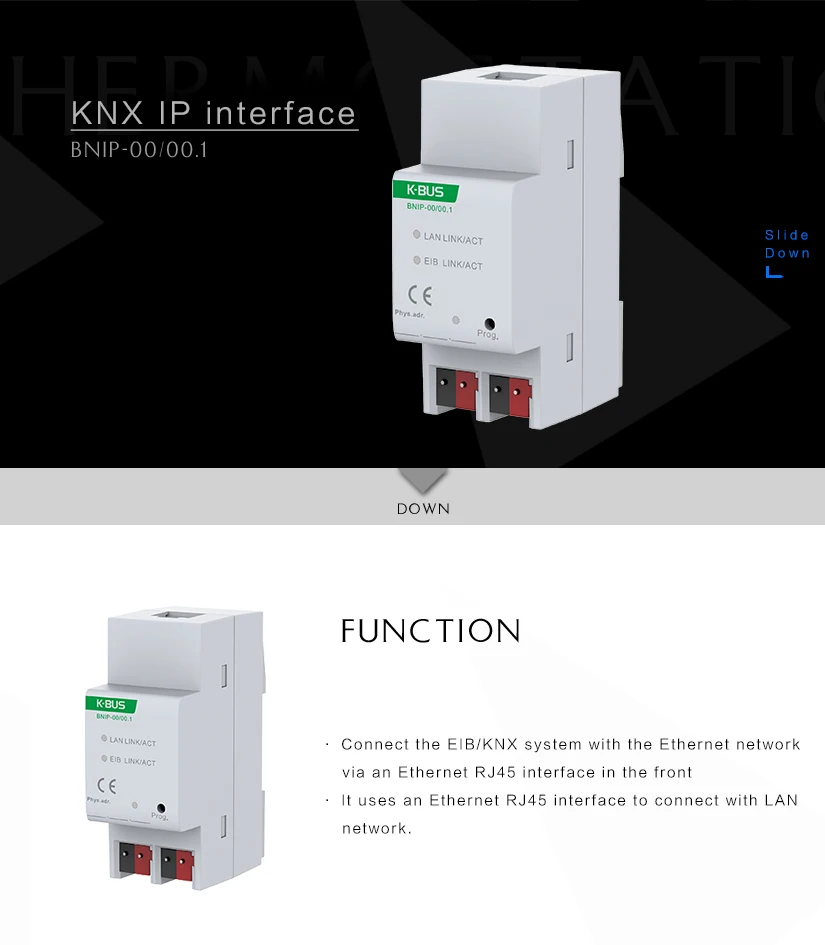 IP Interface