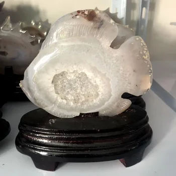 Free Shipping Random Delivery One Piece Natural Agate Stone Crystal Carving Geode Fish For Decoration FMX
Free Shipping Random Delivery One Piece Natural Agate Stone Crystal Carving Geode Fish For Decoration FMX