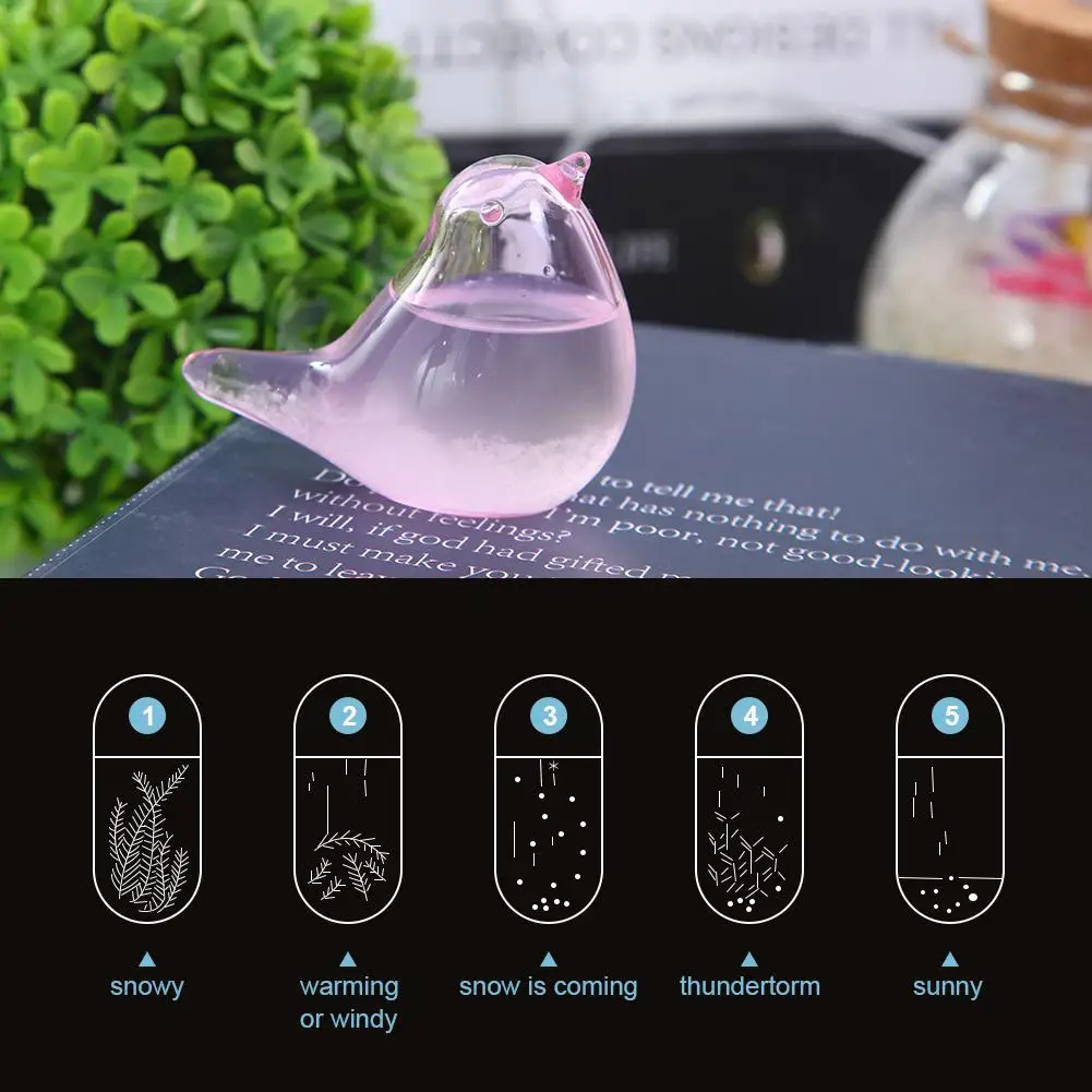 HobbyLane 30ML Pink Mini Weather Forecast Glass Bottle Home Office Tabletop Decor
HobbyLane 30ML Pink Mini Weather Forecast Glass Bottle Home Office Tabletop Decor