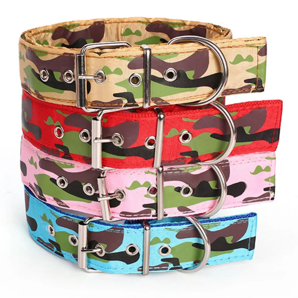 buckle dog collars uk