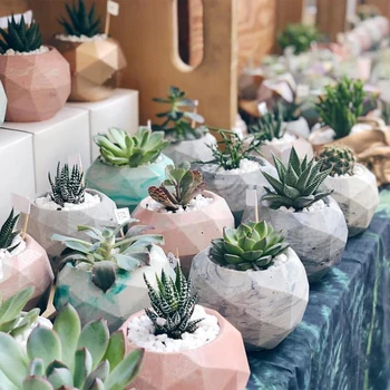 Ins hot Diamond polygon shape concrete mold silicone djy succulent plant palm cement pot vase office decoration mold
Ins hot Diamond polygon shape concrete mold silicone djy succulent plant palm cement pot vase office decoration mold