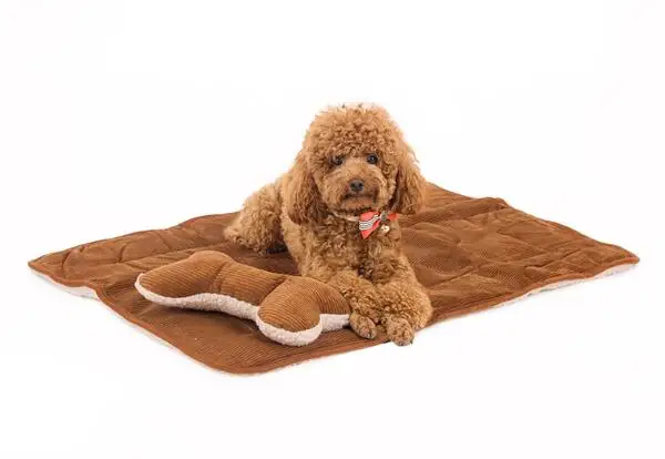 2015 new pet dog cat blanket and bone pillow supplies doggy warm soft mats products puppy nest dogs cats litter 1pcs S L
2015 new pet dog cat blanket and bone pillow supplies doggy warm soft mats products puppy nest dogs cats litter 1pcs S L