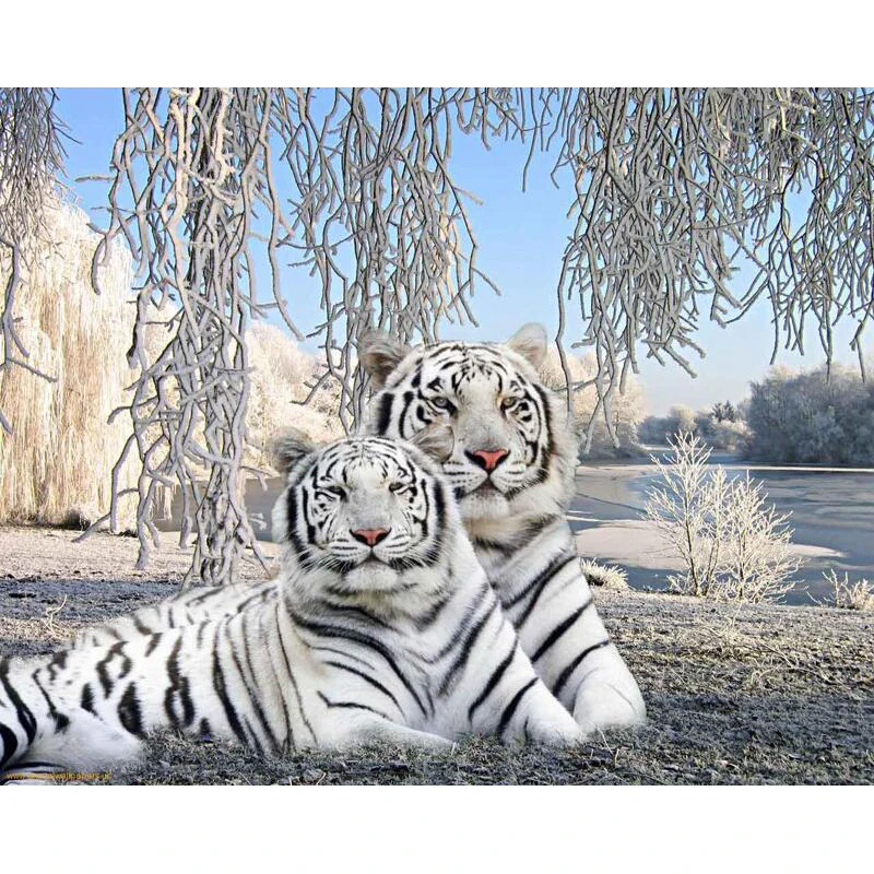 5D сделай сам: два белый тигр алмазная вышивка крестиком дрель декоративная