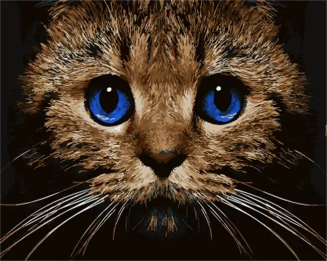 DRAWJOY Framed Animal Cat Painting & Calligraphy DIY Painting By Numbers Coloring By Numbers On Canvas For Home Decor
DRAWJOY Framed Animal Cat Painting & Calligraphy DIY Painting By Numbers Coloring By Numbers On Canvas For Home Decor