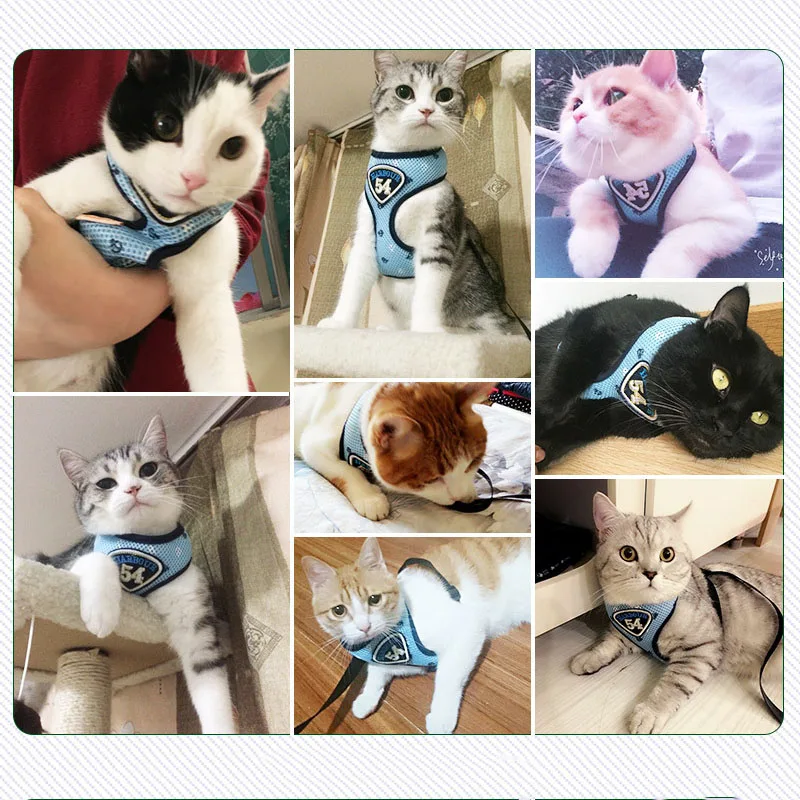 Pet Cat Harness and Leash Pet Air Mesh Vest For Small Cats Dogs Puppy Poodles Chihuahua Yorkshire Breathable Soft Cat Product
Pet Cat Harness and Leash Pet Air Mesh Vest For Small Cats Dogs Puppy Poodles Chihuahua Yorkshire Breathable Soft Cat Product