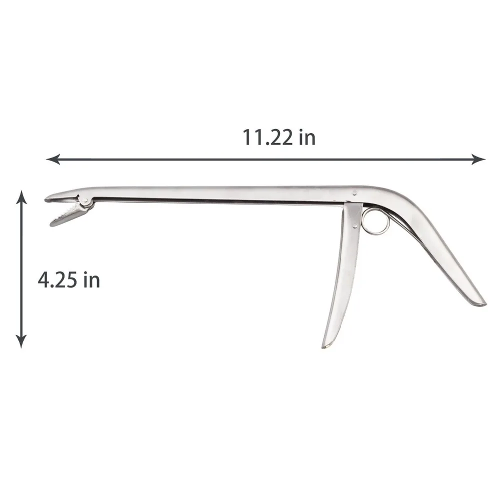 Stainless Steel Fishing Pliers Line Cutter Curved Nose Remove Hook Fishing Tackle Tool with Nylon Sheath
Stainless Steel Fishing Pliers Line Cutter Curved Nose Remove Hook Fishing Tackle Tool with Nylon Sheath