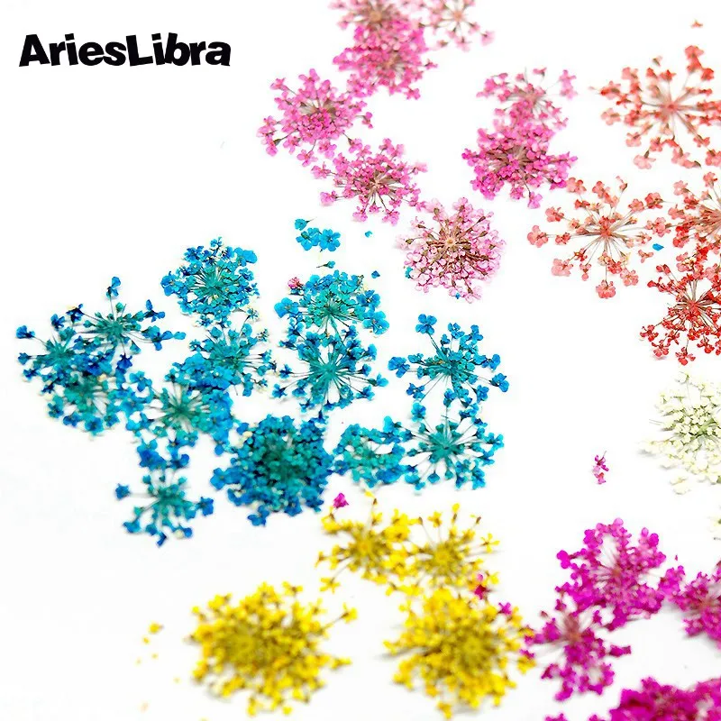 AriesLibra 10pcs Star Cluster Flower 3D Nail Art Dried Flower Real Preserved Flowers Decoration Manicure Nail Decal Accessories
AriesLibra 10pcs Star Cluster Flower 3D Nail Art Dried Flower Real Preserved Flowers Decoration Manicure Nail Decal Accessories