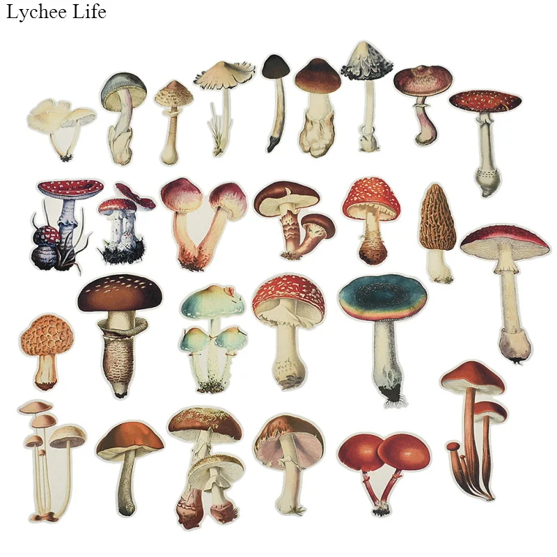 Lychee Life 26pc Mushroom Stickers DIY color watercolor hand-painted scrapbook album notebook diary card decoration stickers
Lychee Life 26pc Mushroom Stickers DIY color watercolor hand-painted scrapbook album notebook diary card decoration stickers