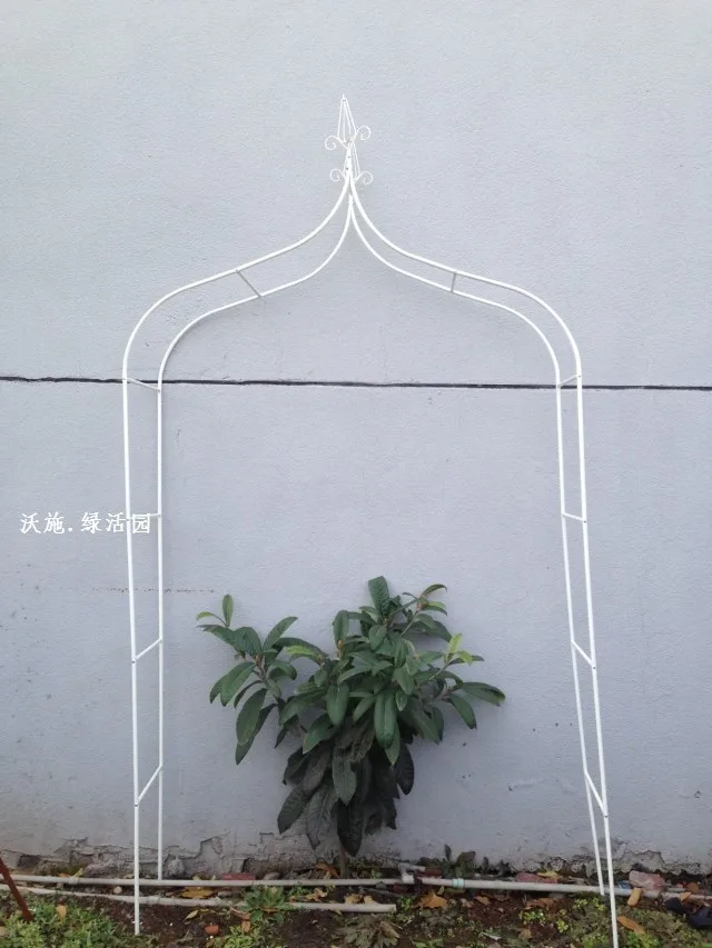 Climbing frame Wrought iron flower arch cosmetic Cany on grape wedding iron frame
Climbing frame Wrought iron flower arch cosmetic Cany on grape wedding iron frame