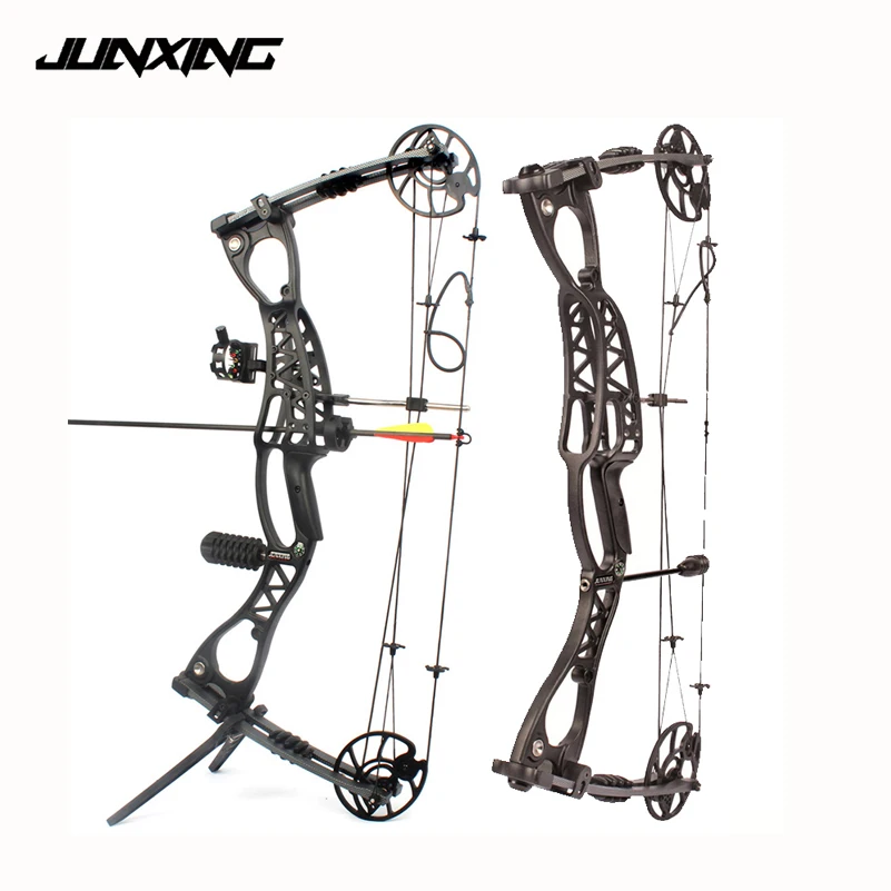 

Adjustable 40-65 LBS Compound Bow 30 Inch Speed 300 feet/s for Outdoor Archery Hunting Shooting Professional Training