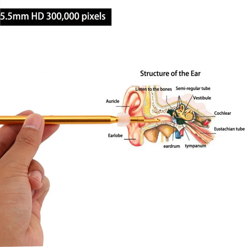 3 in 1 Ear Cleaning Tool Digital Otoscope Ear Clean Spoon Micro & Type-C & USB Inspection Ear Endoscope Camera for Android PC
3 in 1 Ear Cleaning Tool Digital Otoscope Ear Clean Spoon Micro & Type-C & USB Inspection Ear Endoscope Camera for Android PC