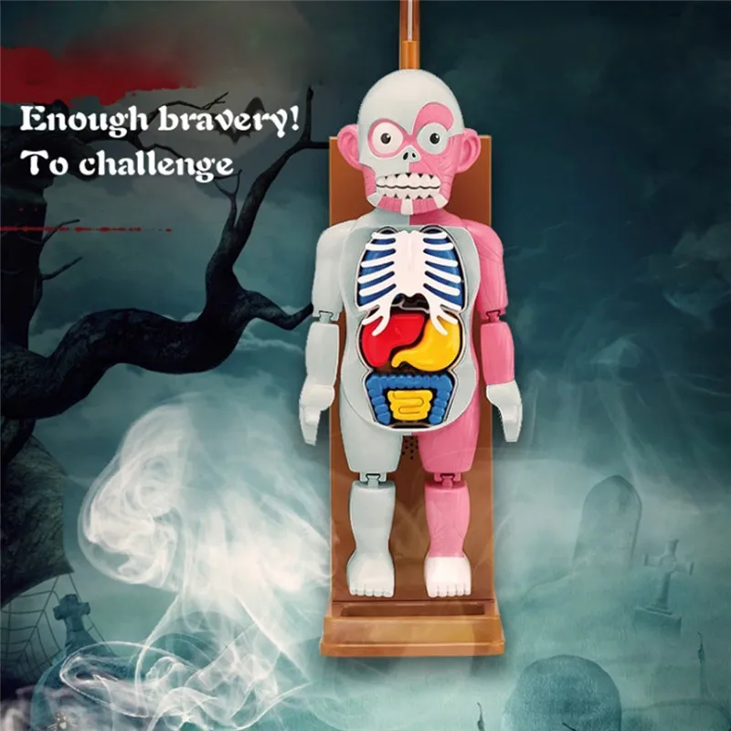 Children's Toys Horror Human Body Models Halloween Horror Spoof Gifts Children's Toys Desktop Toys (3 Batteries Included)
Children's Toys Horror Human Body Models Halloween Horror Spoof Gifts Children's Toys Desktop Toys (3 Batteries Included)
