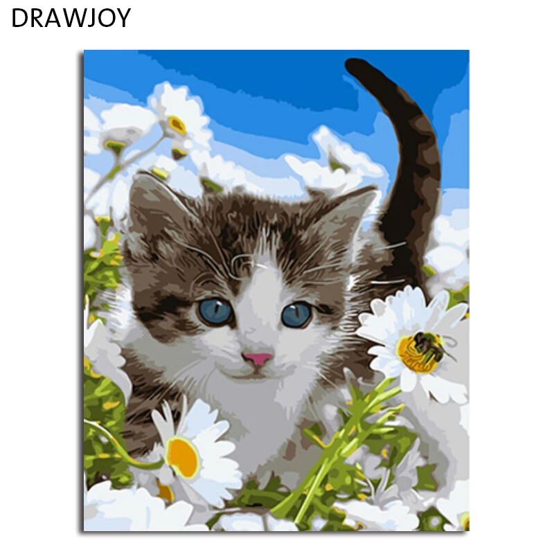 DRAWJOY Framed DIY Picture DIY Painting By Numbers Cat Picture Painting & Calligraphy Wall Art GX3219 40*50cm
DRAWJOY Framed DIY Picture DIY Painting By Numbers Cat Picture Painting & Calligraphy Wall Art GX3219 40*50cm