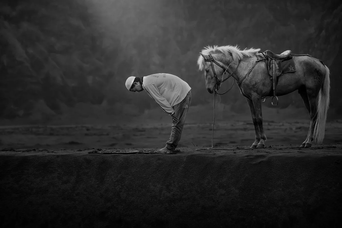 horse man praying Islam TDW384 wall decor canvas fabric poster custom print (frame available) for room decoration home decor
horse man praying Islam TDW384 wall decor canvas fabric poster custom print (frame available) for room decoration home decor