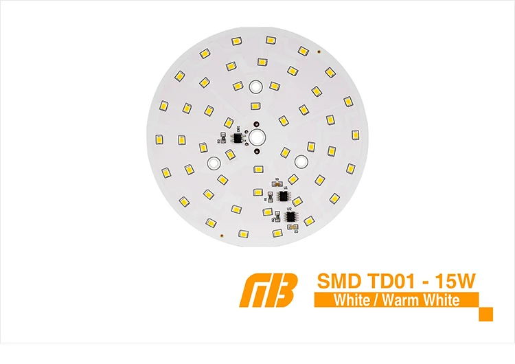 LED Down Light_TD-01 Chip_08