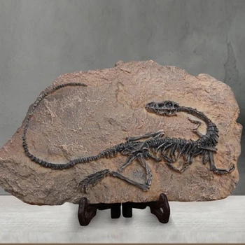 Resin simulation dinosaur brontosaurus fossil creative hand made home decor Jurassic Park Private museum crafts
Resin simulation dinosaur brontosaurus fossil creative hand made home decor Jurassic Park Private museum crafts