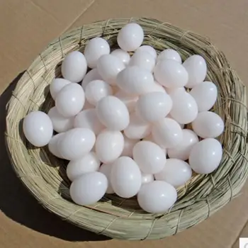 Wholesale 20 pc/lot Bird Supplies Cited pigeon eggs with plastic eggs filled pigeon eggs pigeon supplies 730 
Wholesale 20 pc/lot Bird Supplies Cited pigeon eggs with plastic eggs filled pigeon eggs pigeon supplies 730