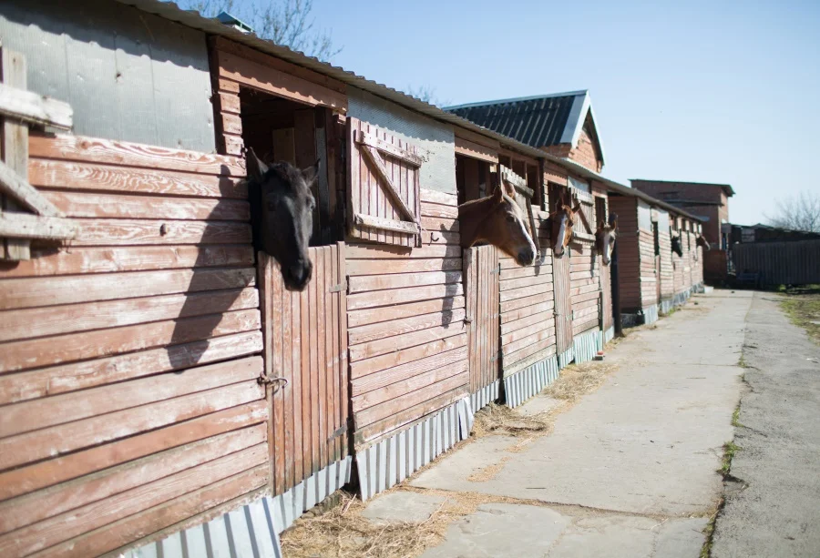 Laeacco Old Farm Wooden Stable West Cowboy Horse USA Way Scenic Photo Backgrounds Photographic Backdrops Photocall Photo Studio
Laeacco Old Farm Wooden Stable West Cowboy Horse USA Way Scenic Photo Backgrounds Photographic Backdrops Photocall Photo Studio