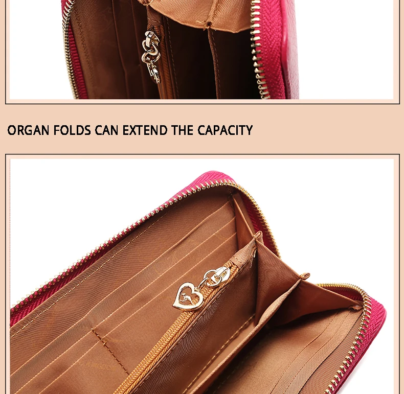 kangaroo-kingdom-women-wallet_04