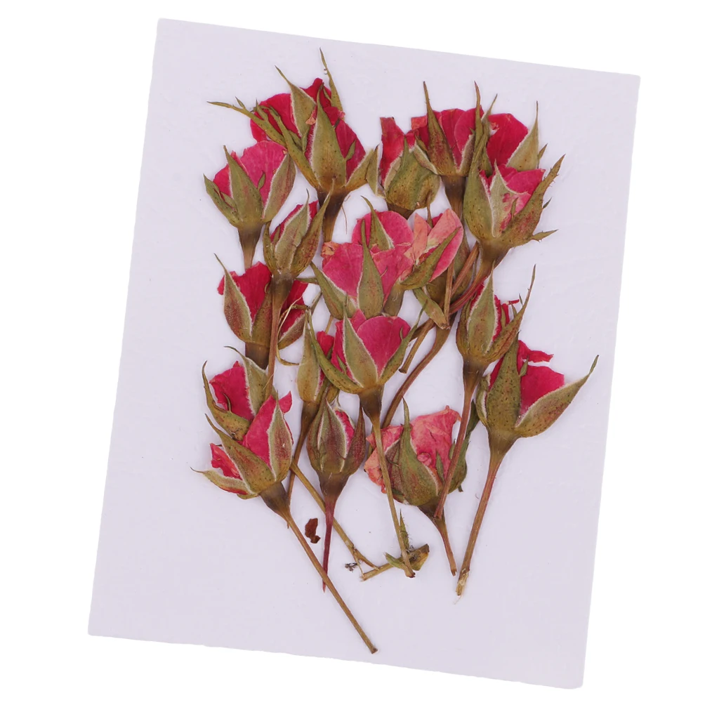 20 Pieces Pressed Natural Real Dried Flowers Rose Flower for DIY Resin Ornament Craft Christmas Xmas Card Making Decoration
20 Pieces Pressed Natural Real Dried Flowers Rose Flower for DIY Resin Ornament Craft Christmas Xmas Card Making Decoration