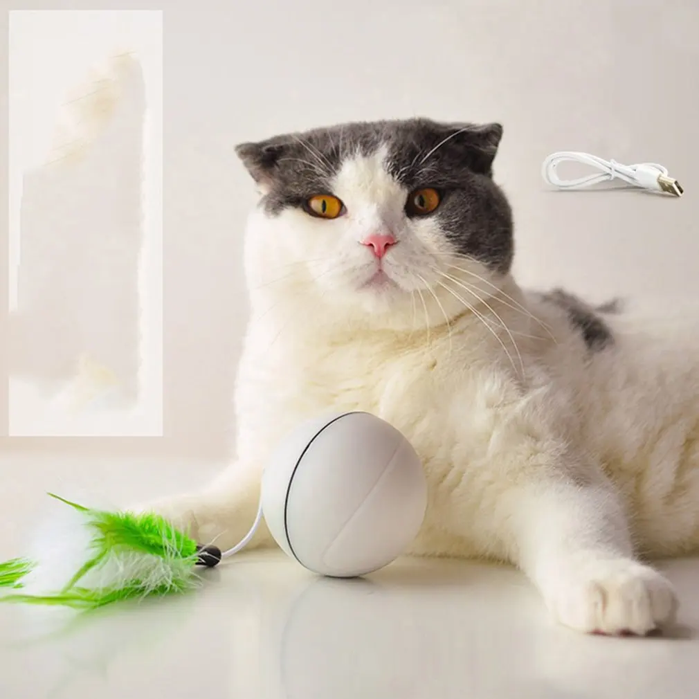 Funny Cat Laser Toy Ball LED Laser Electronic Flash Rolling Ball Perfect Toy Cat Interactive Laser Ball Pet Supply
Funny Cat Laser Toy Ball LED Laser Electronic Flash Rolling Ball Perfect Toy Cat Interactive Laser Ball Pet Supply