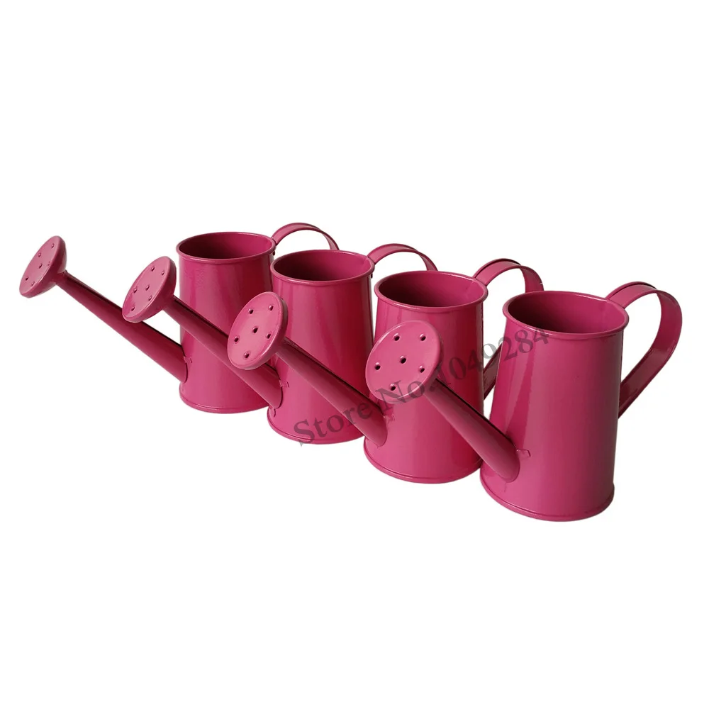 Mini Watering Cans Bulk bmpbeaver
