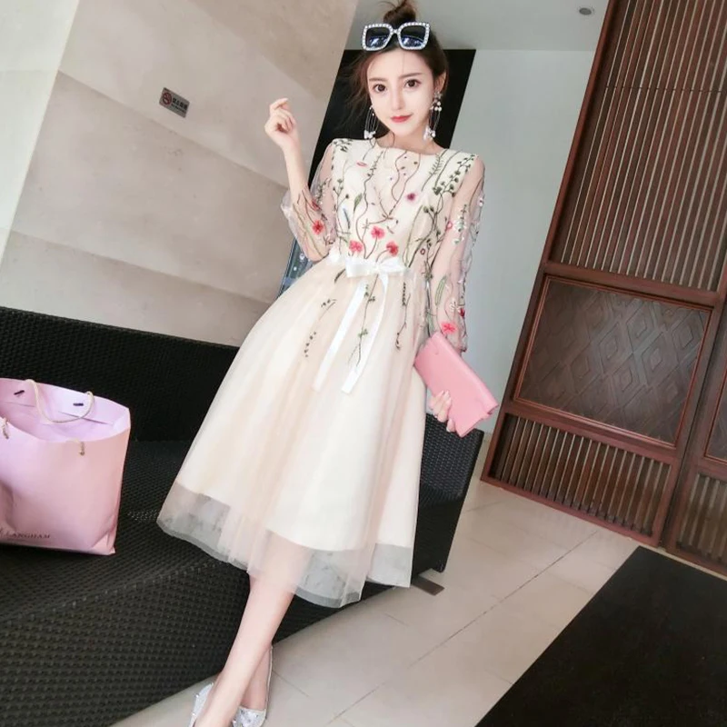 spring summer Women's Clothing Korean fashion embroidery floral dress mesh perspective Slim fit dresses vestidos femininos new
spring summer Women's Clothing Korean fashion embroidery floral dress mesh perspective Slim fit dresses vestidos femininos new