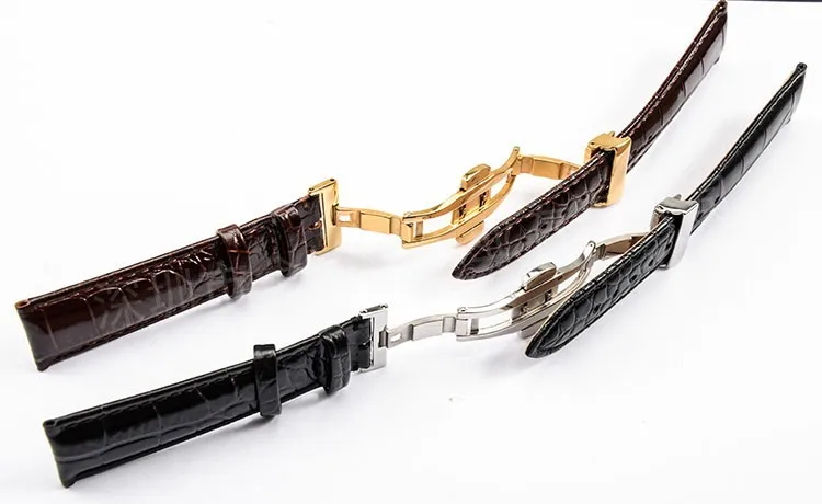 3586966519_1456910487