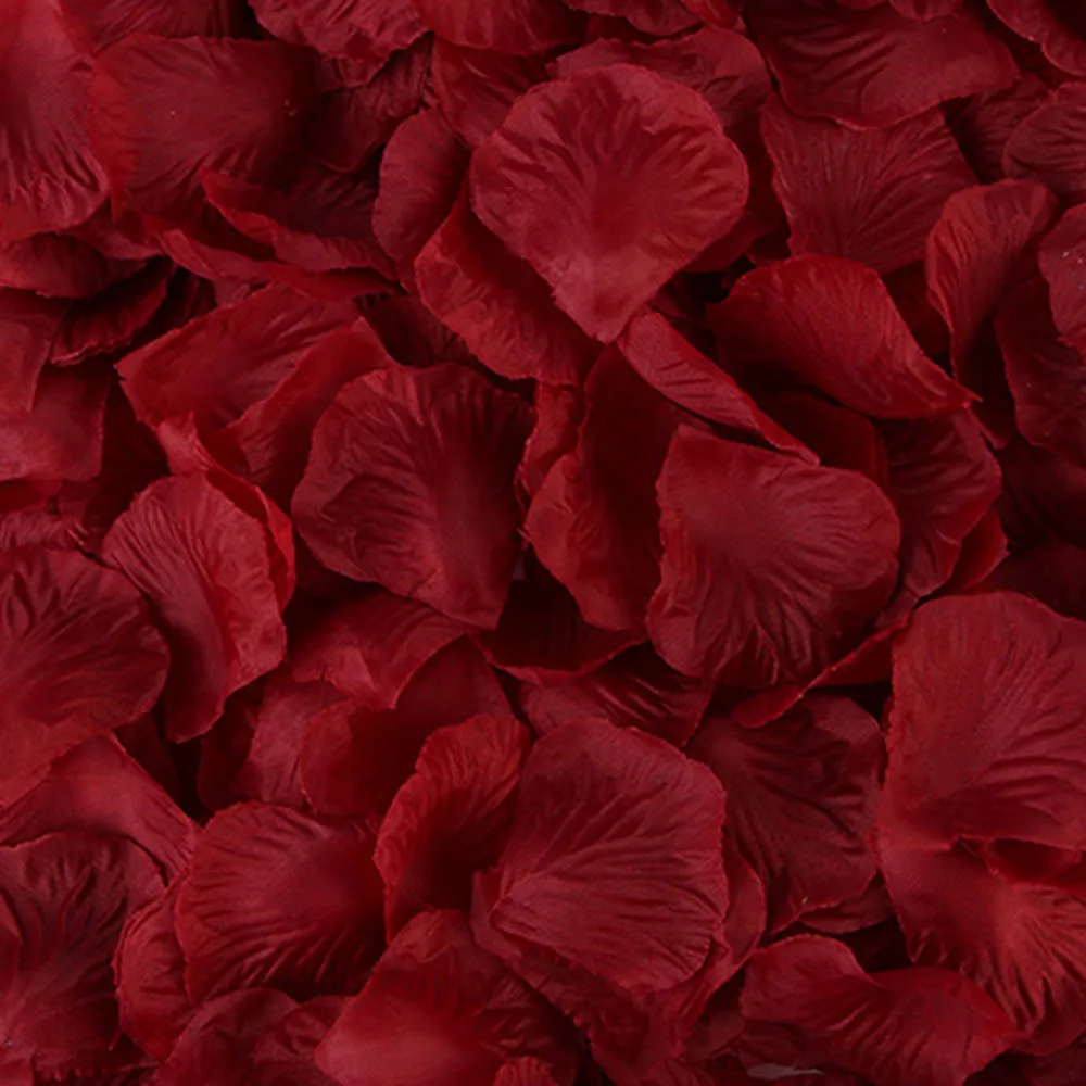 MOLANS 100pcs Artificial Silk Red Rose Petals Decorations for Bride Wedding Party Colorful Event Fake Rose Flower Manual Prop
MOLANS 100pcs Artificial Silk Red Rose Petals Decorations for Bride Wedding Party Colorful Event Fake Rose Flower Manual Prop