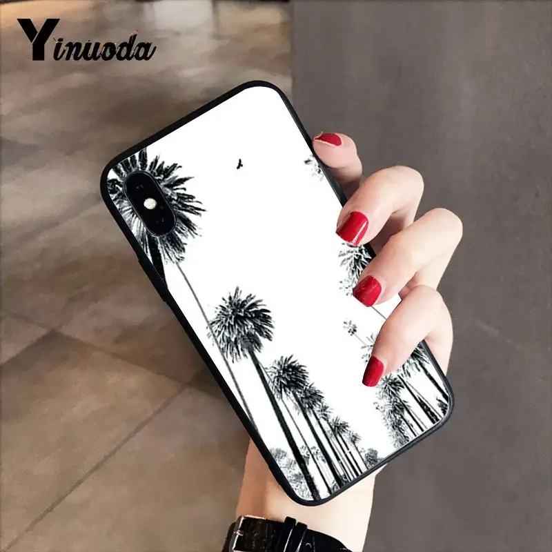 Black white palm leaves palm trees