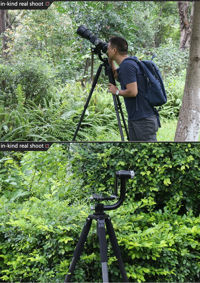 heavy duty head -6