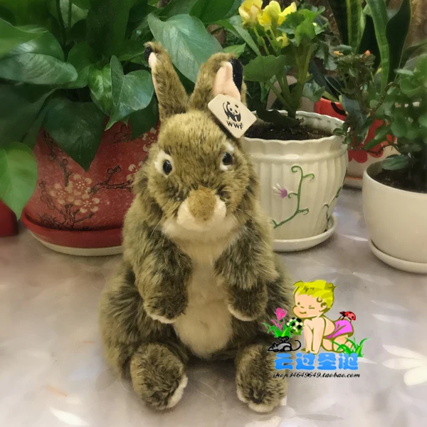 30cm High quality plush rabbit stuffed animal bunny toy simulation lifelike baby dolls for kids toys for children home decor
30cm High quality plush rabbit stuffed animal bunny toy simulation lifelike baby dolls for kids toys for children home decor