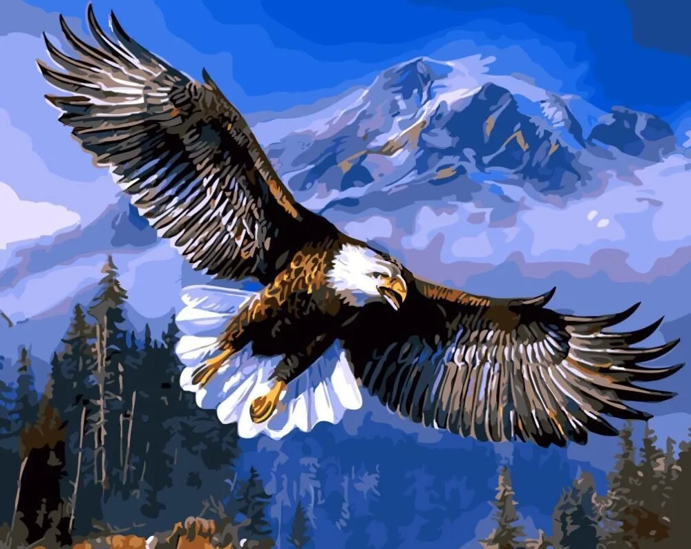 Eagle - Painting by numbers 40*50 cm hand painted frameless picture cuadros decoracion wall pictures for living room
Eagle - Painting by numbers 40*50 cm hand painted frameless picture cuadros decoracion wall pictures for living room