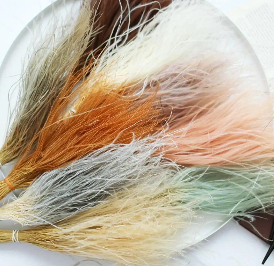 15g 15-30cm Length Preserved Slender Grass Flowers Feather For Craft Gift Material Accessory Decoration Flower Arranging DIY
15g 15-30cm Length Preserved Slender Grass Flowers Feather For Craft Gift Material Accessory Decoration Flower Arranging DIY