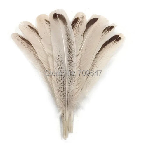 Feathers for crafts!50Pcs/lot!8-12inches 20-30cm long Wild Turkey Feathers,ROYAL PALM Wild Turkey Rounds Wing Quill Feathers
Feathers for crafts!50Pcs/lot!8-12inches 20-30cm long Wild Turkey Feathers,ROYAL PALM Wild Turkey Rounds Wing Quill Feathers