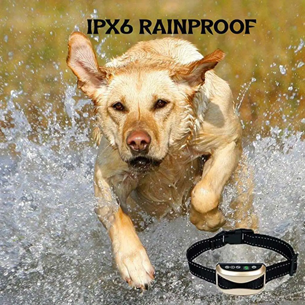 Pet Dog Rechargeable Anti Bark Collar Adjustable 7 Sensitivity Levels Vibration Stop Barking Dog Training
Pet Dog Rechargeable Anti Bark Collar Adjustable 7 Sensitivity Levels Vibration Stop Barking Dog Training