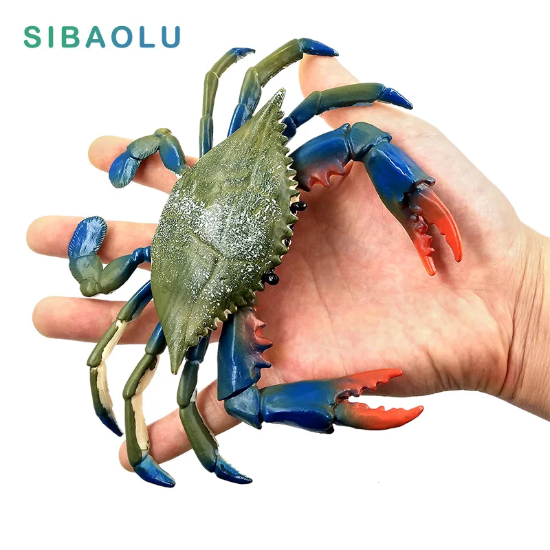 Simulation Crab Figurine Marine Sea Life Animal Model home decor Plastic figure fairy garden decoration accessories PVC statue
Simulation Crab Figurine Marine Sea Life Animal Model home decor Plastic figure fairy garden decoration accessories PVC statue