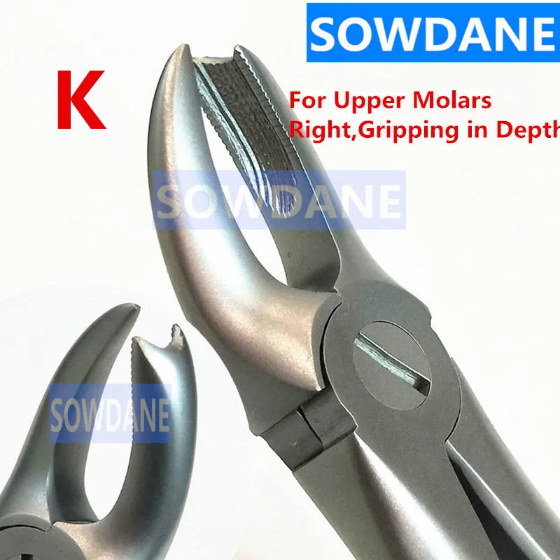 1 pcs Dental Adult Tooth Extraction Plier For Upper Molars Right Gripping in Depth Dental Orthodontic Surgery Forcep Dentist T
1 pcs Dental Adult Tooth Extraction Plier For Upper Molars Right Gripping in Depth Dental Orthodontic Surgery Forcep Dentist T