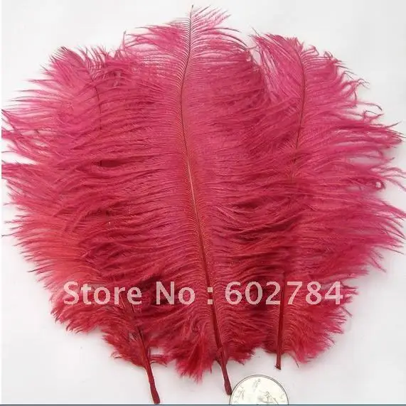 Wholesale ostrich feather 100pcs/lot 6-8 inches 15-20cm dark red ostrich plumes ostich plumage Free Shipping
Wholesale ostrich feather 100pcs/lot 6-8 inches 15-20cm dark red ostrich plumes ostich plumage Free Shipping